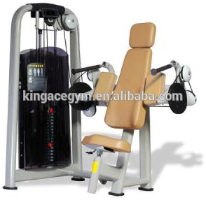 Fitness Equipment/Professional Triceps Press