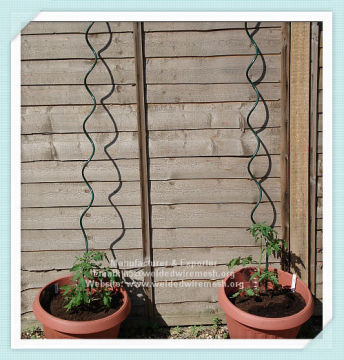 Anping Tomato Spiral Plant Supports