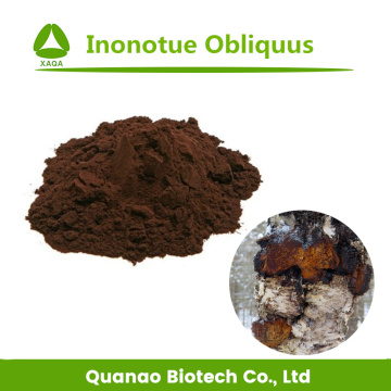 Chaga Mushroom Extract Inonotue Obliquus Polysaccharides 10%