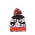 European and American jacquard knitted hat in winter