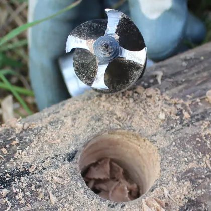 Scotch Augers for Bushcraft