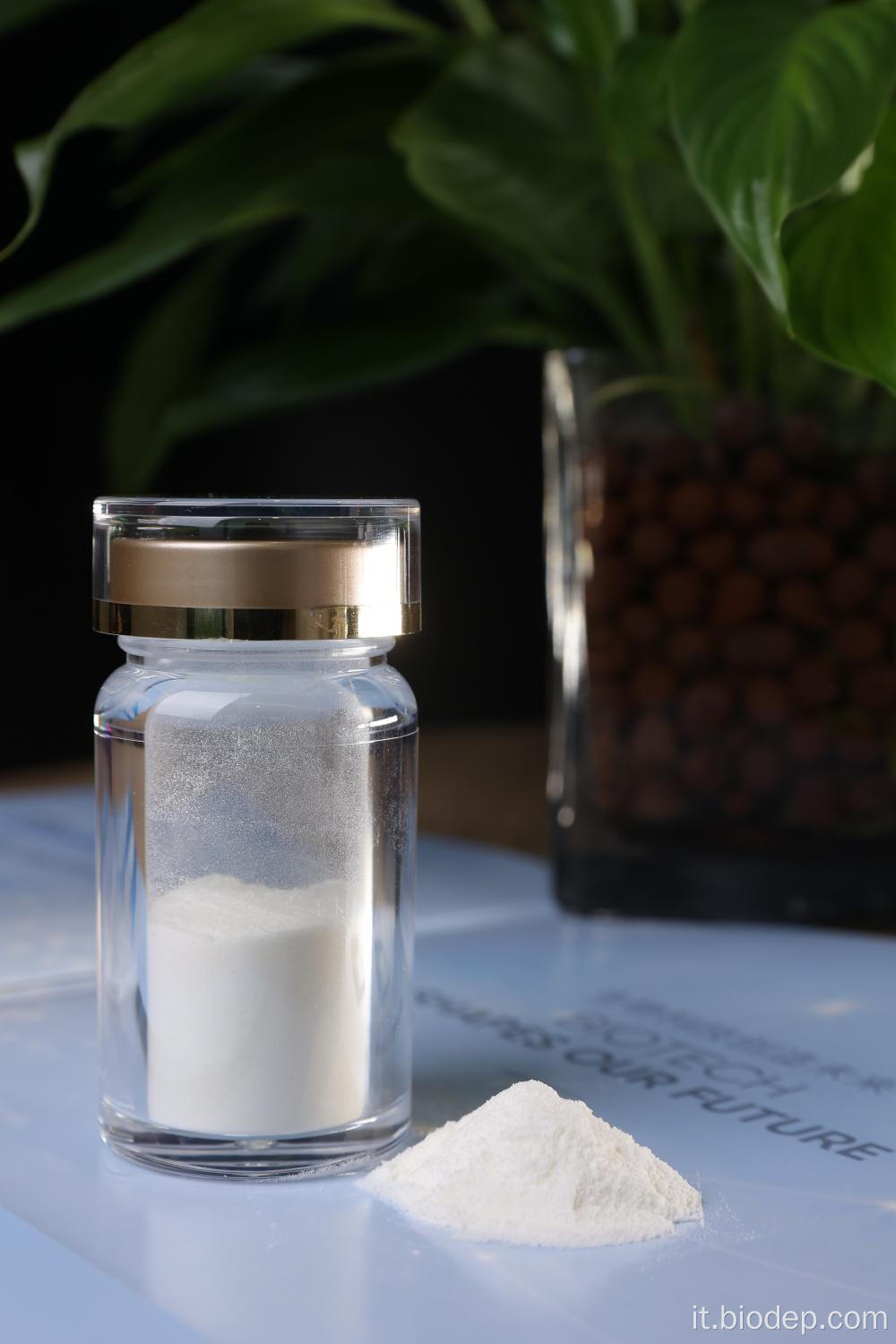 Polvere probiotica akkermansia muciniphila 50 miliardi di afu/g