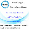 Envío de flete marítimo de Shenzhen a Osaka