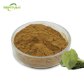 High Quality Epimedium Extract Supplement