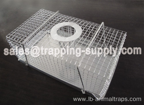 Humane Top-entry Mouse Trap Cage