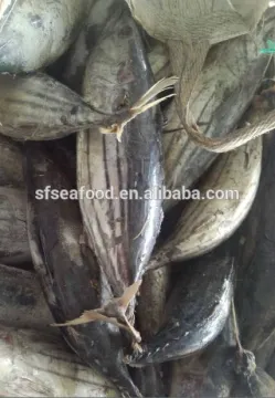 canned skipjack tuna
