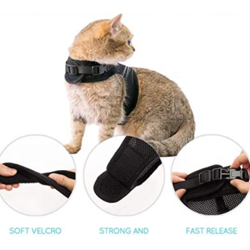 Harness Pet Cat disesuaikan dengan tali