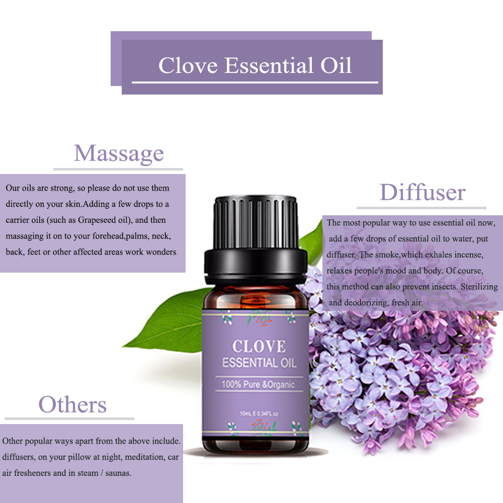 Free Sample Massage Therapeutic Grade Clove Essential Oil