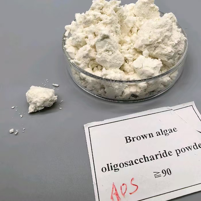 plant immunity AOS Alginate oligosaccharide (28)