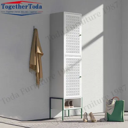 Modern Double layer rack storage shoe cabinet