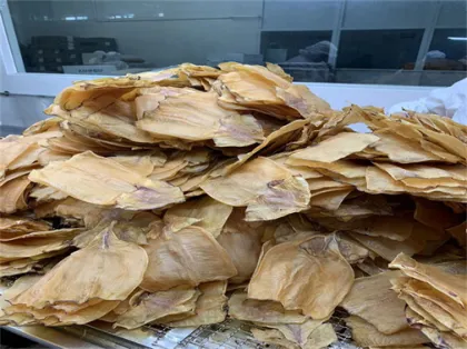 frozen illex squid squid argentina squid seafood