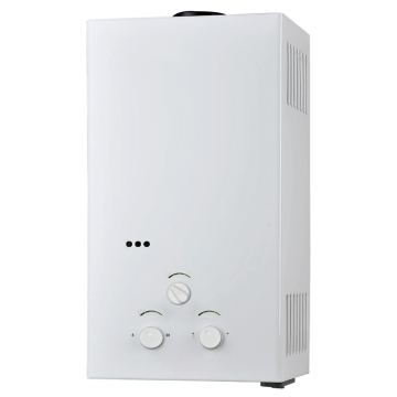 Flue type white coated panel water heater gas