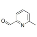 6-metylo-2-pirydynokarboksyaldehyd CAS 1122-72-1