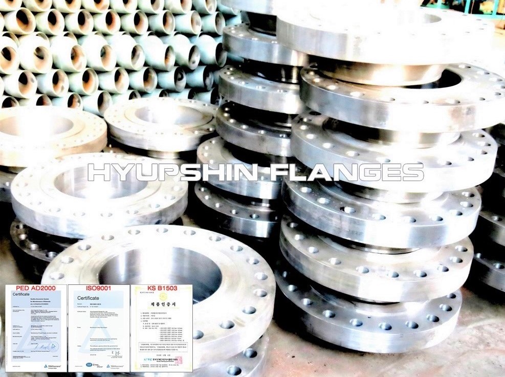 Hyupshin Flanges Ansi 600 900 1500 2500 Wnrf