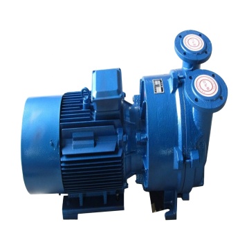 2BV Series Hot Sale Liquid Ring Vacuum Pump for Motor Industry