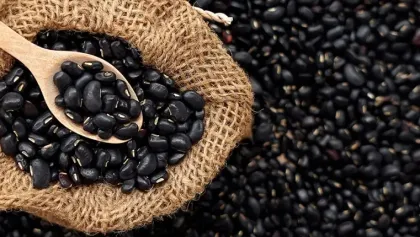 Dried Style for Healthy Drink Black Bean Powder
