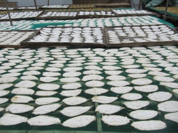 dried fish maw