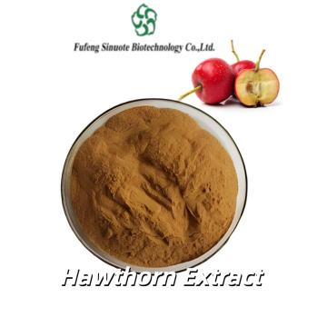 High-Quality Herbal Extracts for Immune Support and Energy