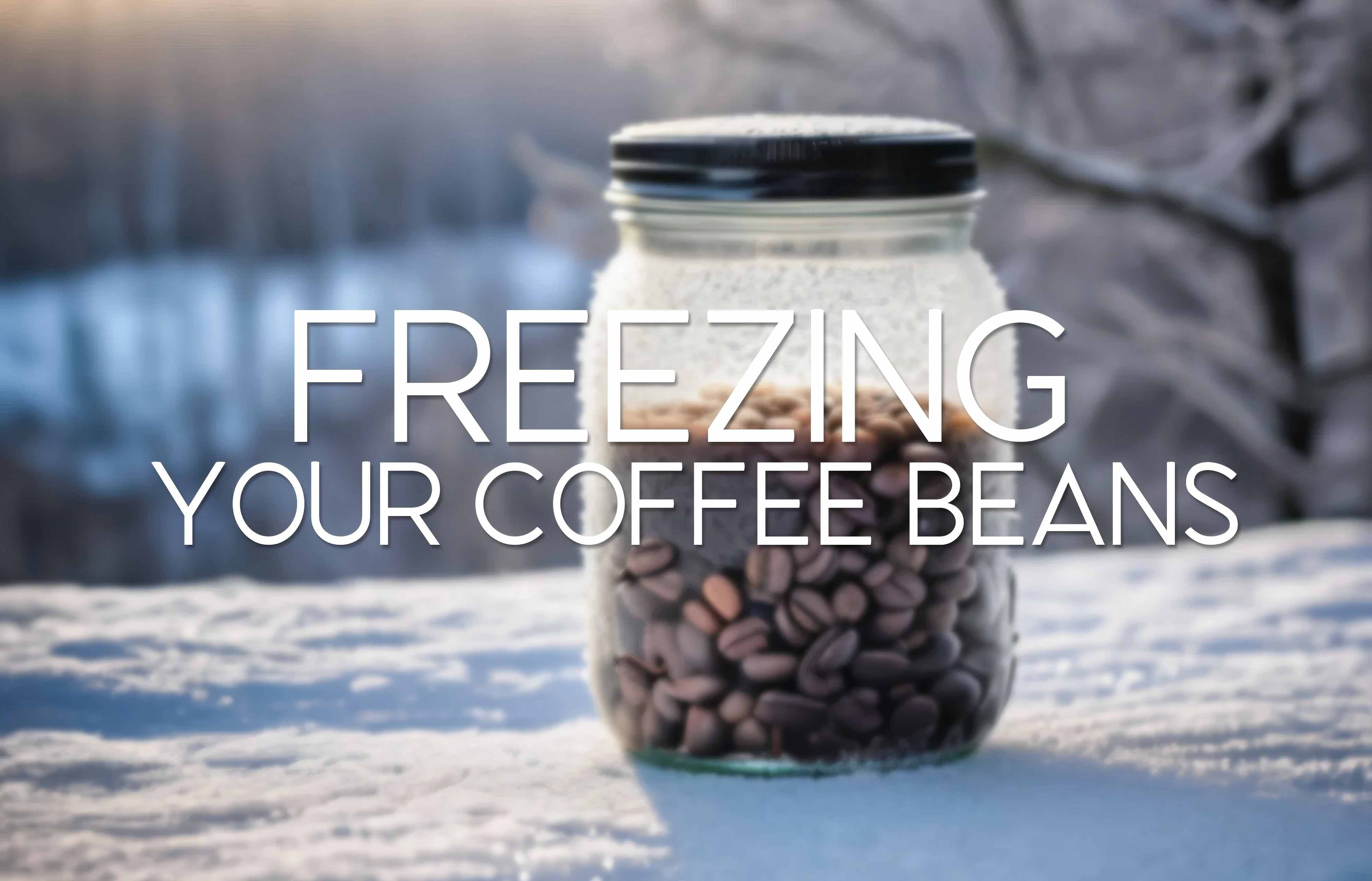 Frozen Coffee beans