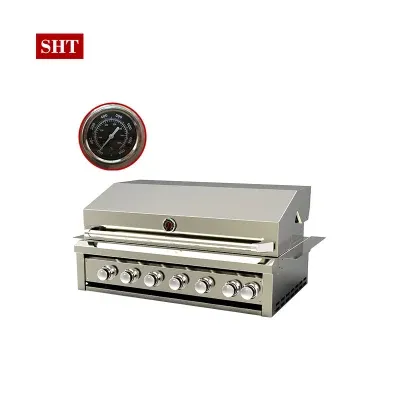 DIY Outdoor Kitchen Modular Built in Chicken BBQ Roast Kitchen Natural Gas BBQ Grill