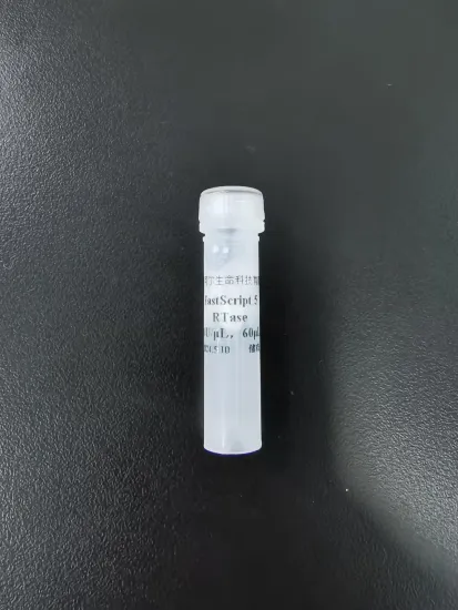 UltraS APT DNA Polymerase