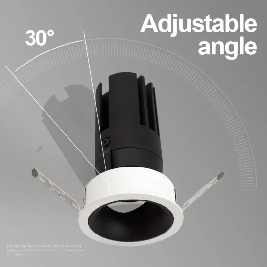 Adjustable Trimless Spot Light Dali Traic Recessed Downlight