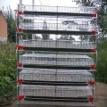 Dijual Quail Cage A / H Jenis Galvanized Wire