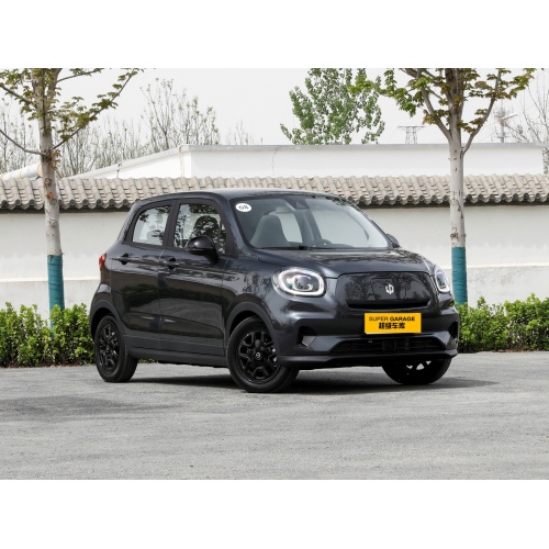 2023-2024 Leapmotor T03 Pure Electric Car