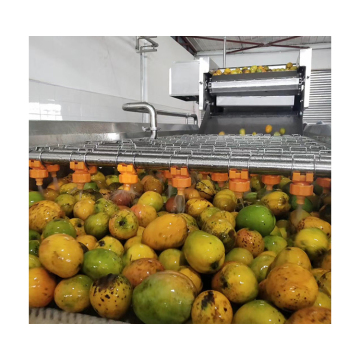 Hersteller und Lieferanten von Mango -Saft -Verarbeitungsmaschinen und Lieferanten