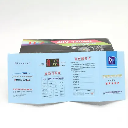 Anhui YouXin Intelligent Universal Battery Charger - 12v, 24v, 72v