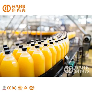 Small Factory Bottled Juice Filling Equipment / Juice Bottling Line