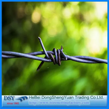 Tradition Twist Fencing Barbed Wire Fence