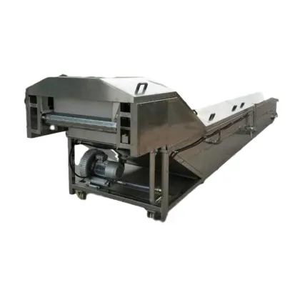 Fruit and Vegetable Blanching Machine - Papaya Blanch Machine