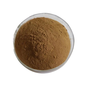 ginkgo biloba leaf extract ginkgo biloba