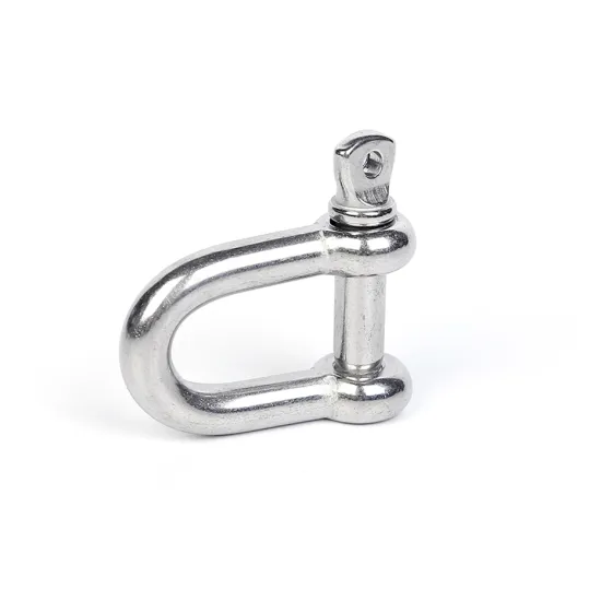Corrosion-Resistant Stainless Steel D-Type Shackle