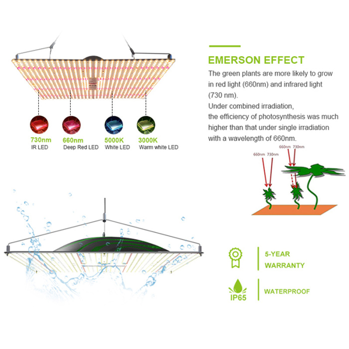 PVISUNG Grow Light Fixtures