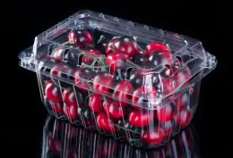 Clamshell Disposabler PET Plastic Clamshell For Grape