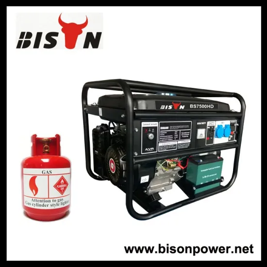 BISON(CHINA) Strong Power Gas Engine Natural Gas Generator 5kw