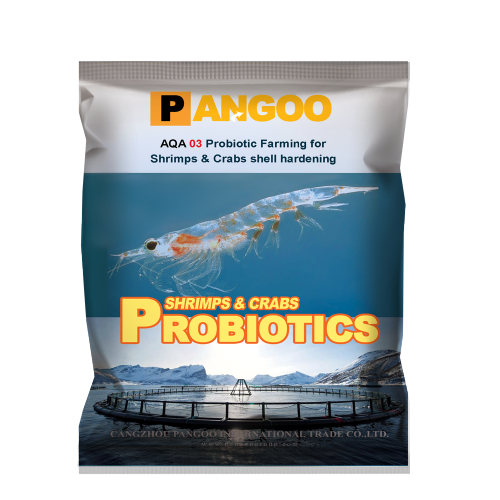 AQA / 03 Probiotiques de crevettes