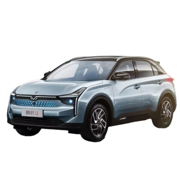 HOZON NETA U 2023-2024: 500km New Energy 5-Seat SUV with Long Range and Affordable Pricing