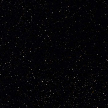 Gold Star Black Polished Porcelain Tile