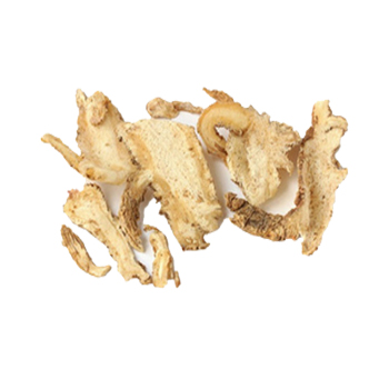 Chinese Angelica Root