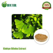 Natural Organic Ginkgo Biloba Leaf Extract Powder