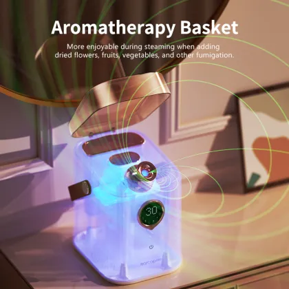 Portable Electric Beauty Steamer - Nano Face Steamer