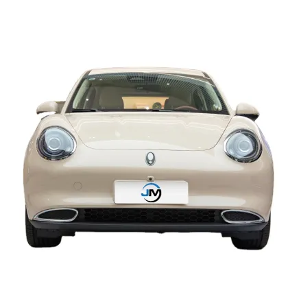 2024 Ora Cat EV Electric Car - High Quality Retro Sports Car