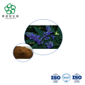 Food Botanical Extract Vitex Negundo Leaf 10:1 for Respiratory Wellness
