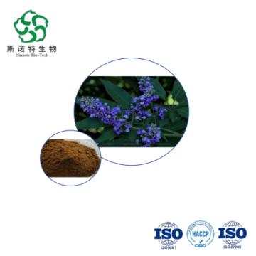 Food Botanical Extract Vitex Negundo Leaf 10:1 for Respiratory Wellness