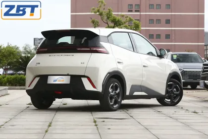 New Energy China Model Cars Byd Seagull EV Minicars Vehicles Car Byd Cars