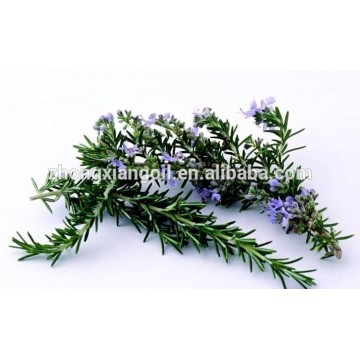 OEM Rosemary essential oil For Fragrance