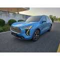 2021 Haval First Love Senior Edition 1.5T